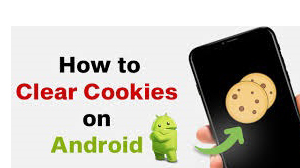 Clear Cookies on Android in 2024