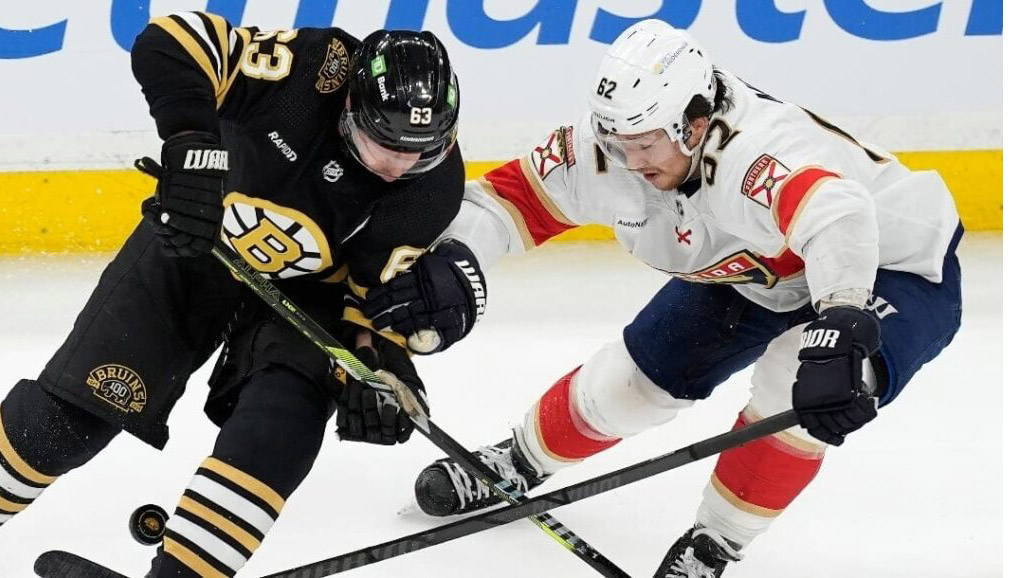 Panthers vs. Bruins